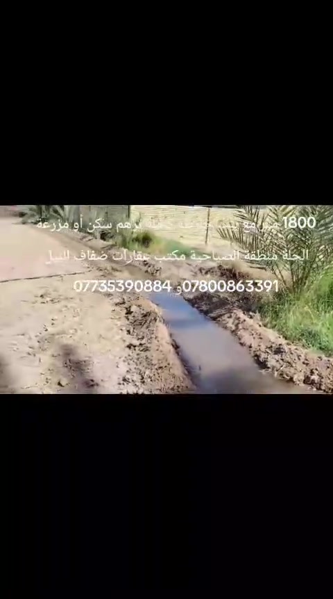 الحلة الصياحية • ١٨٠٠م • خارطة كاملة