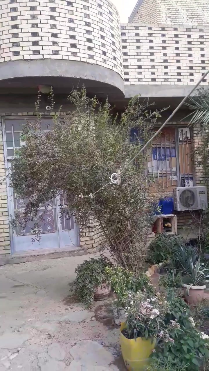 حي صادق • ٢٥٠م • حديقة كبيرة