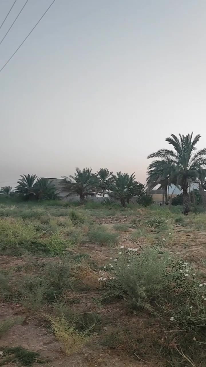 قطع اراضي للبيع 
حسب الطلب 
العدد محدود 
سعر ال 200متر = 25 مليون وقابل للتفاوض 
طابو زراعي سند 25 
ديالى منطقة دحيله 
للاستفسار ***********
