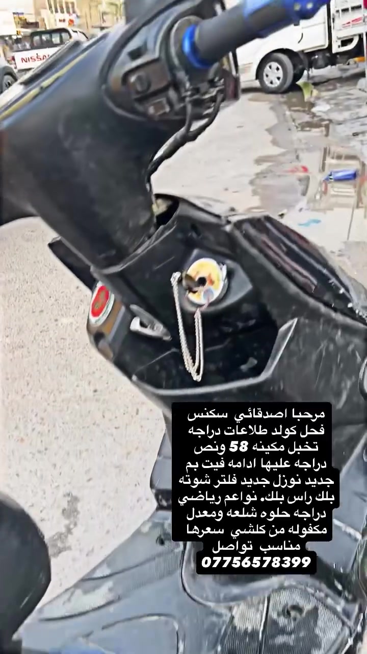 سكنس فحل • كولد