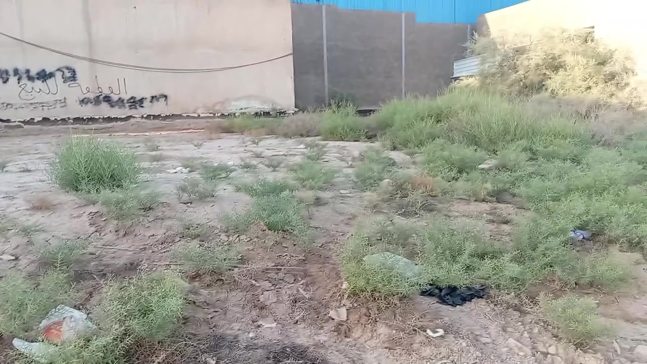 يا الله قطعه اللبيع مساحه 400 متر سند 25 مكان كربلاء طويريج ع قطع قريب ع حلويات ابو سلام ***********
