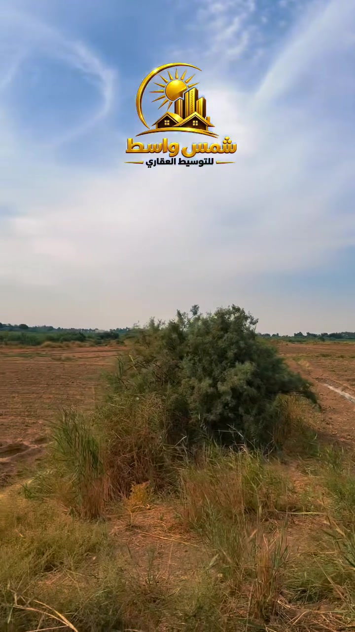 الصويرة البويس • ١٦ دونم • تحاذي الشط