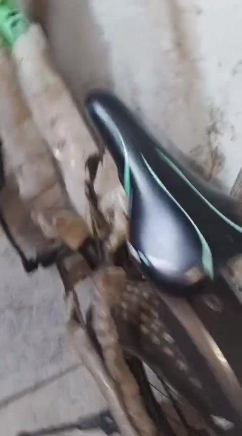 سلام عليكم بايسكل دبابه حجم ٢٥بايسكل نضيف جداً بايسكل بعده بل لايلون السعر ٢٠٠وبي مجال لاستفسار عل رقم ***********متواجد فقط واتساب
