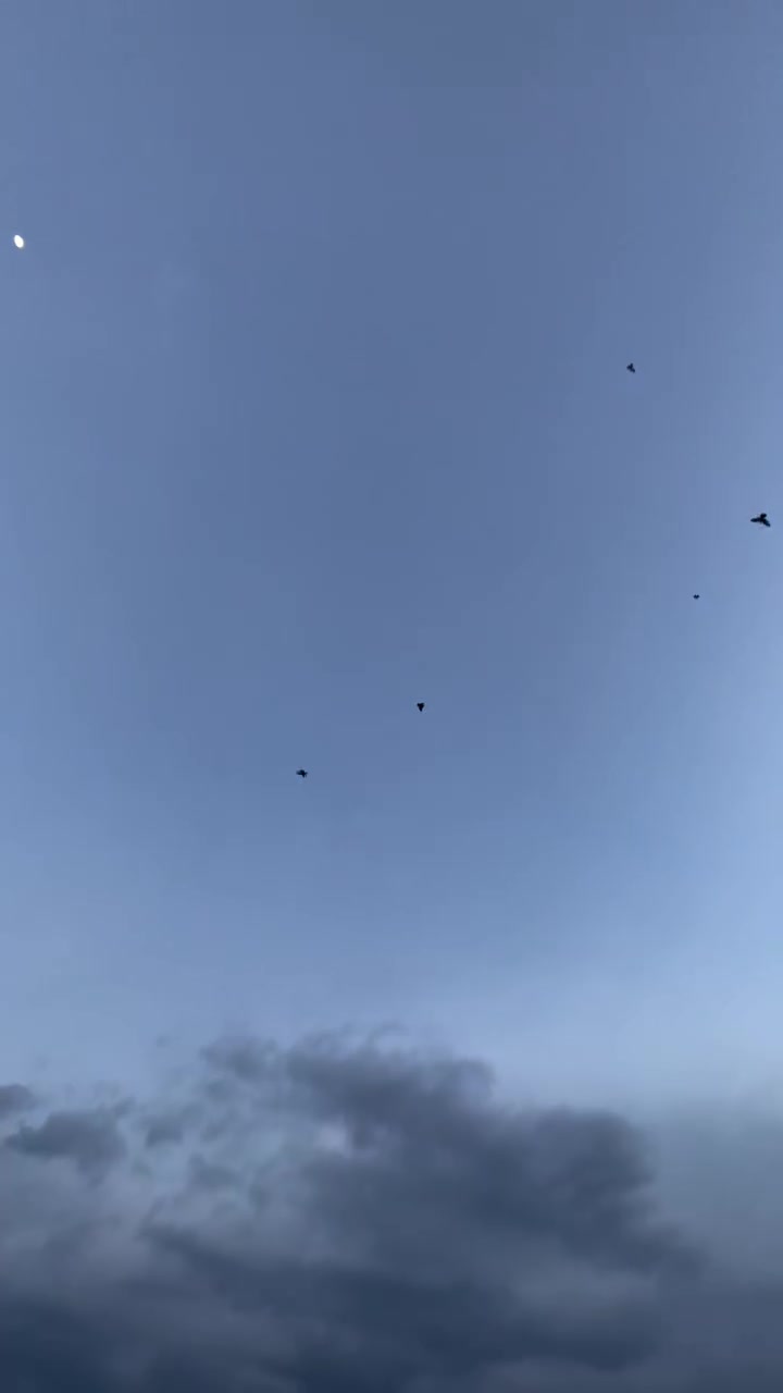حمام • للبيع • بغداد جديدة