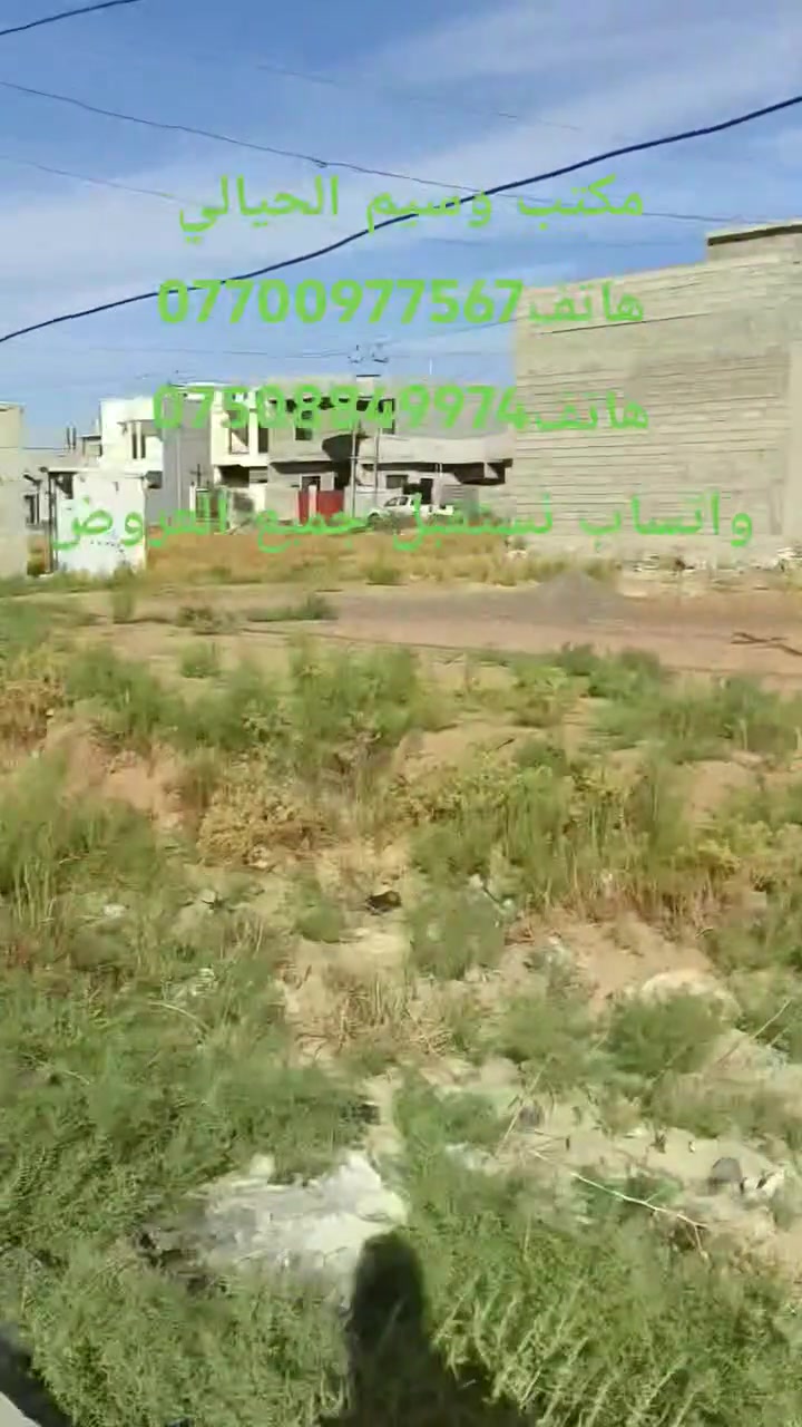 الكندي الثانية • التعليم العالي • أرض