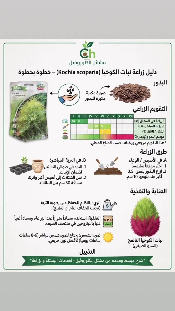 دليل زراعي رسومي مقدم من مشتل الكلوروفيل🍀
للحجز والاستفسار: *********** 📞 واتساب
