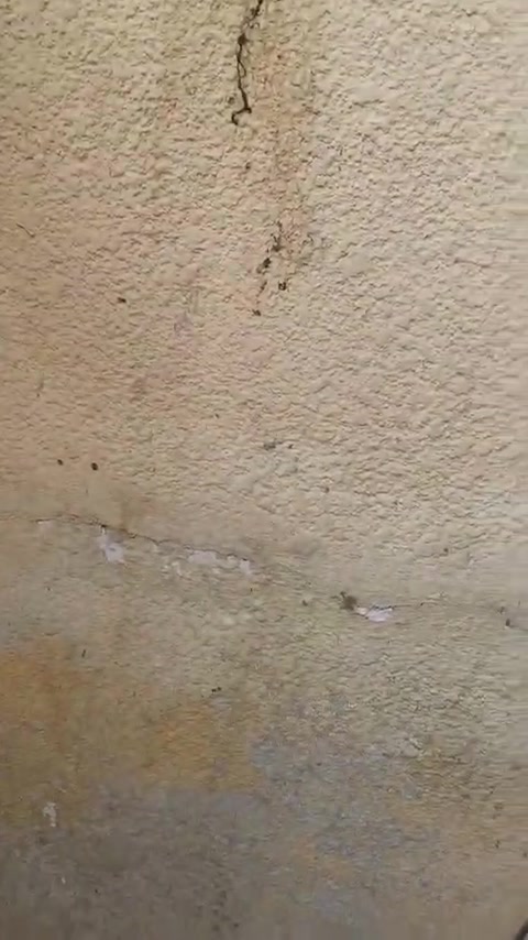حي وفاء • ٥٠م • غرفه وصاله