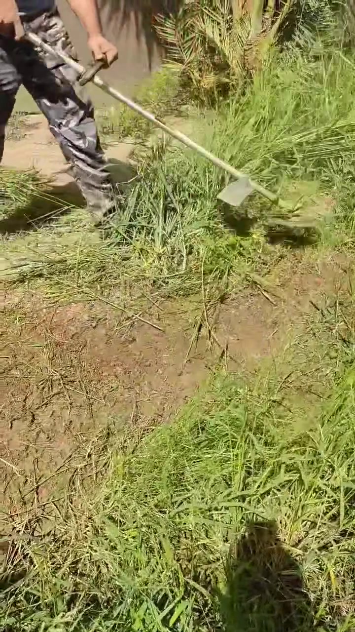 تنظيف بساتين • أشغال بساتين