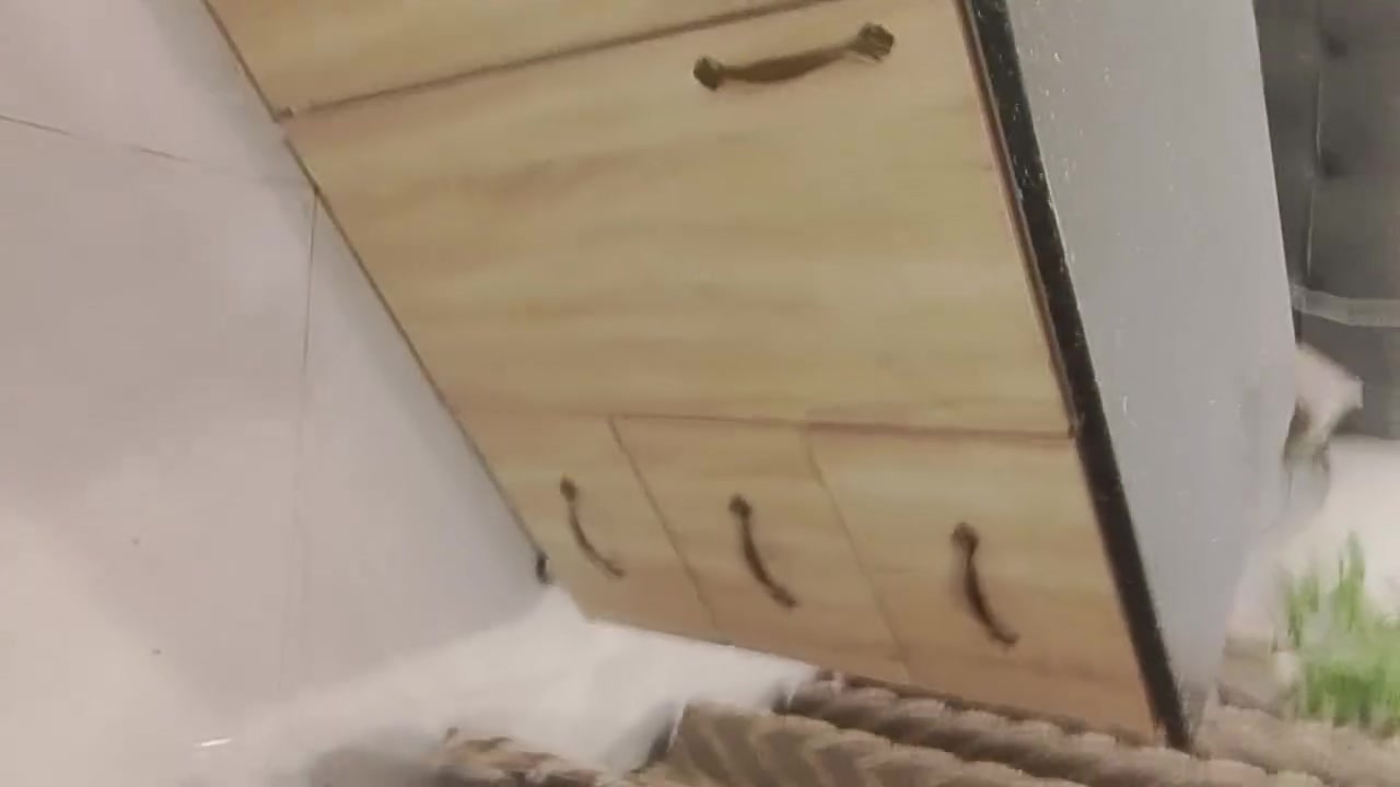 بغداد العبيدي ***********
