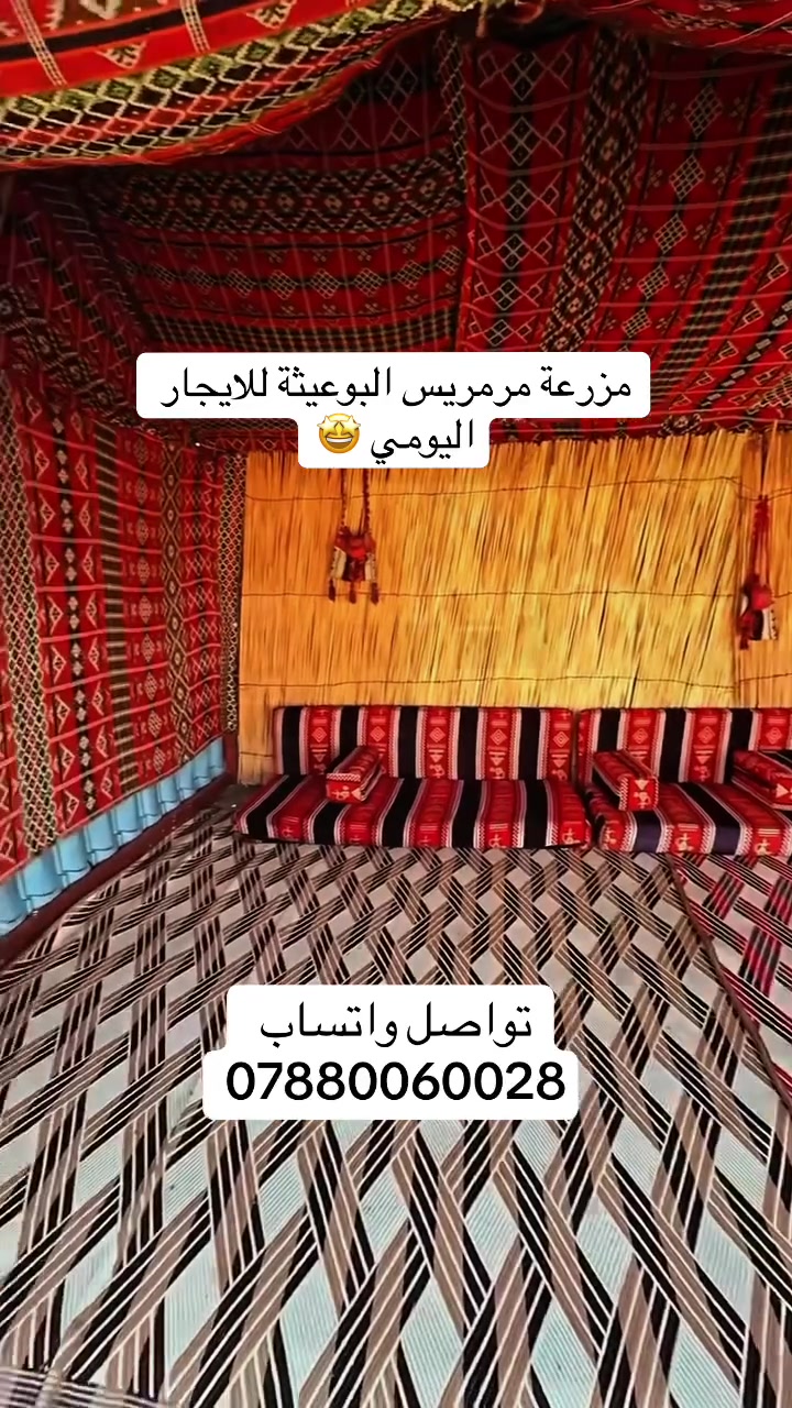 الاحد مسائي
الاثنين مسائي
الاربعاء مسائي
الأسبوع القادم مرمريس 
تواصل واتساب ***********
