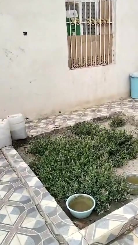 بيت زراعي للبيع 240 متر
العنوان الصخيين حي جامعه ذي قار
شارع حسينيه الامام الغائب سادس فرع خدمات كامله ماي كهرباء مجاري  بالمربع الذهبي 
السعر 120 قابل للتفاوض للشراي 
يتكون البيت من 
1 غرفتين وصاله عائليه 
2 صاله للضيوف ومطبخ 
3 ديوانيه وكليدور 
4 صحيات داخليه وخارجيه 
5 كراج جبير وحديقه
***********
