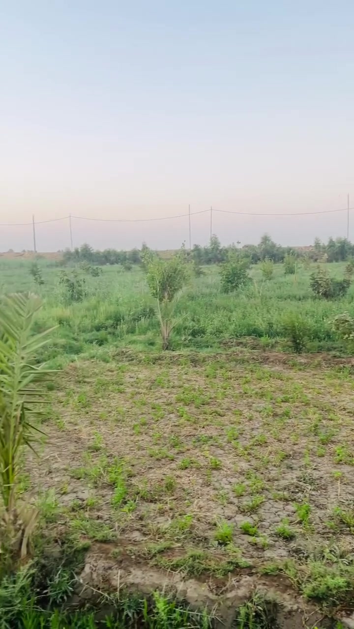 ارض زراعيه 2دونم للبيع على الشط مباشره واجه 47 ونزال 107 ماي كهرباء متوفره مكانها نزله الشريف جهه الطاقه  
اليحب يستفسر يتصل 
***********
