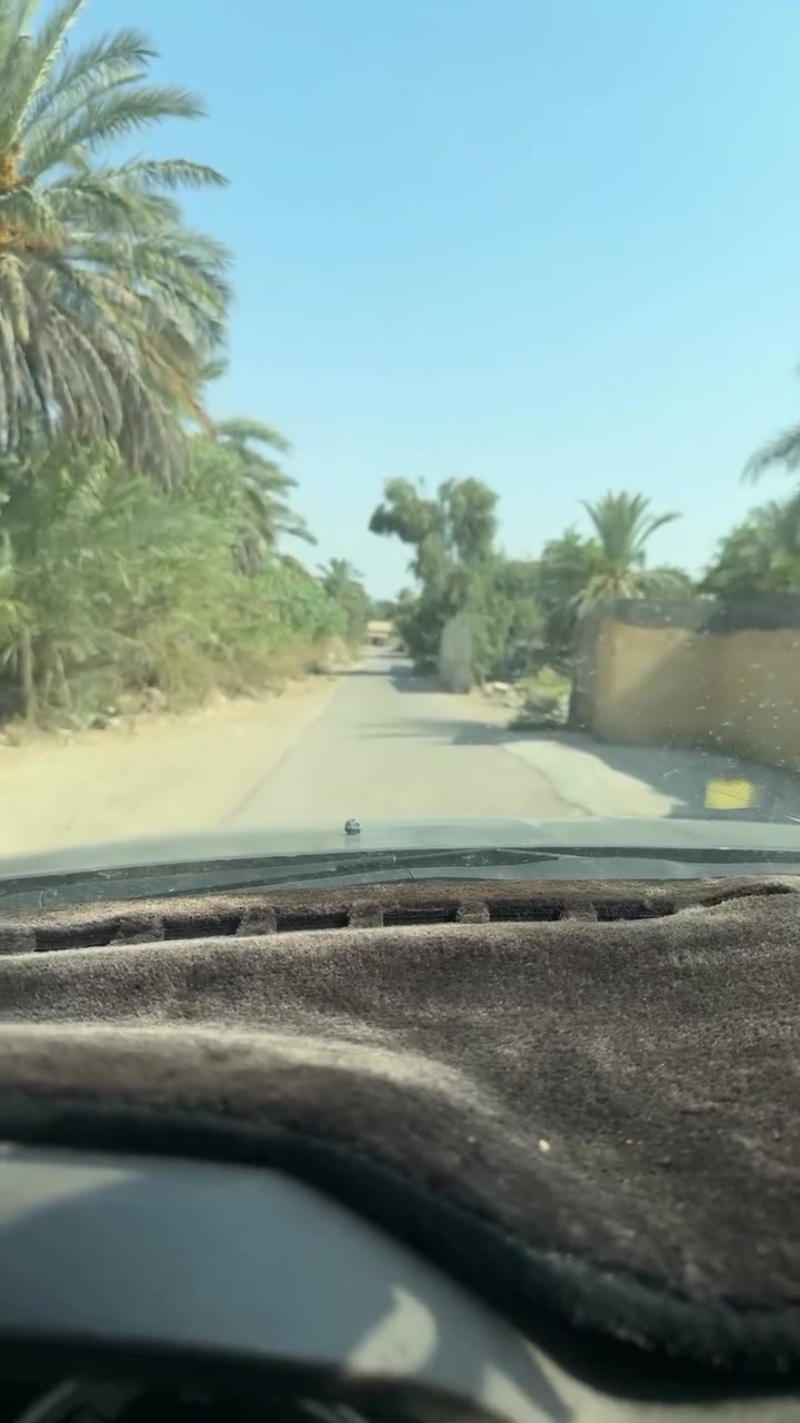السلام عليكم اربعه دونم للبيع التاجي قرية الرافدين بستان طابو زراعي سند 25
***********
