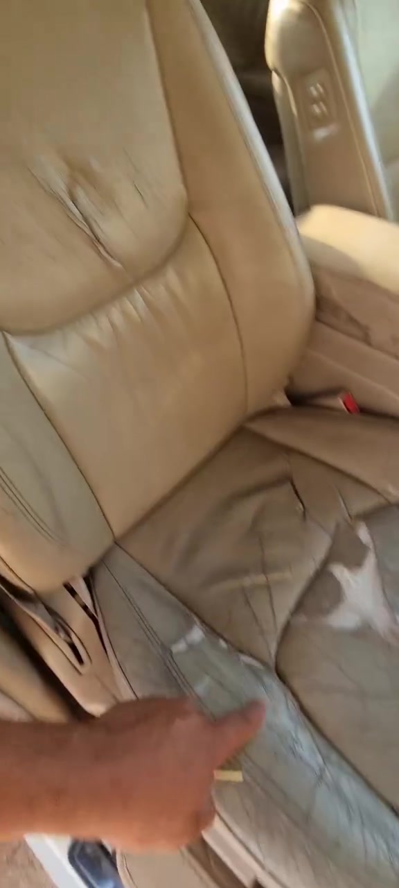 قرفه جلدكهرباء 4 كشنات زائد 4بطاين فقط المقاعد يرادلهن تصليحات لبيع 300مكان بصره ***********

