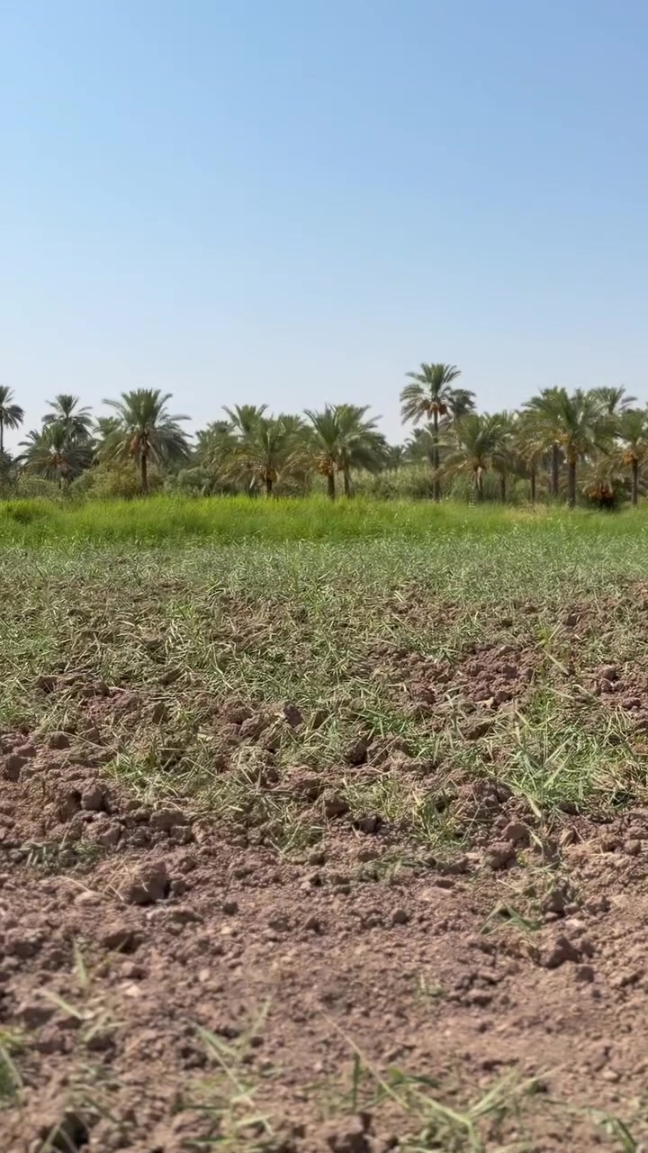 🌿 دونم زراعي للبيع – فرصة استثمارية مميزة 🌿
📍 الموقع: واسط، الصويرة، جويميسة الغربية
📜 السند: 25 زراعي
💧 حصة مائية وآبار
⚡ خدمات متوفرة بالكامل

🏡 فرصة مميزة جداً لبناء مزرعة خاصة أو مشروع زراعي، بموقع مناسب للاستثمار.

📞 للاستفسار:
***********

📲 واتساب:
***********

#عقارات_واسط #عقارات_العراق #أرض_زراعية #استثمار #مزارع #واسط

