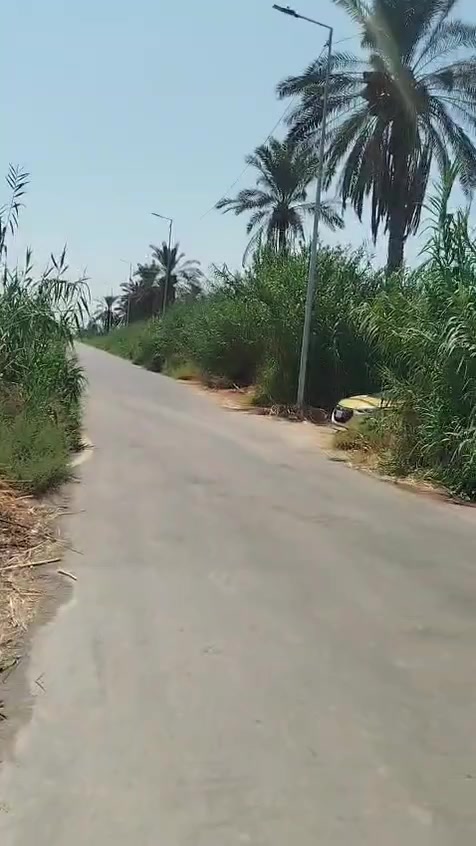 نص دونم بالمدائن منطقه سطيح
وره البوابه مباشره 
واجهه ١٧ نزال ٧٤
١٠٠ متر عن دجله 
وجهه سده واصله كهرباء ومي وتبليط 
عقد ٣٥
***********
