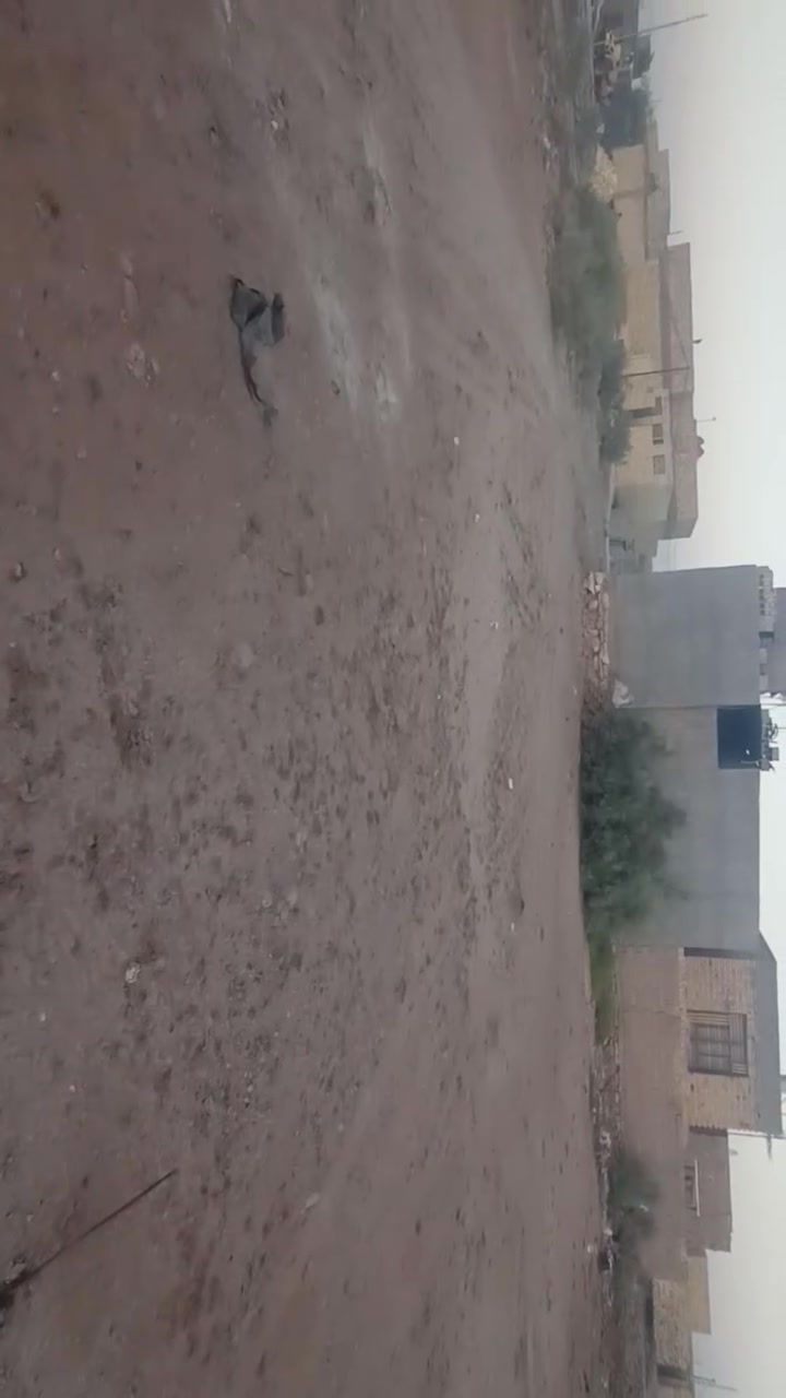 السلام عليكم قطعه للبيع منطقه سيد جابر اول فرع جهه اليمين القطعه بنهايه الفرع تصير التصوير ماواضع لان الدراجه طفت وسديته التصوير مساحه 243 متر تصير بنهايه الفرع اخر شي وتنزل مسافه قطعتين وهيه الثالثه 
ومابيه اي مشكله او طلايب مكفوله وهاذه رقمي بي واتساب ***********
