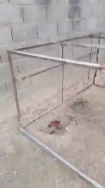 مدينة حديثة • متاح • ديكور