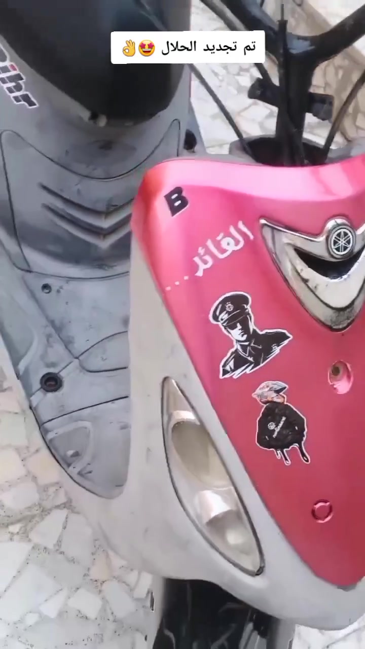 ماكس منغولي • حربيه • تواير جدد