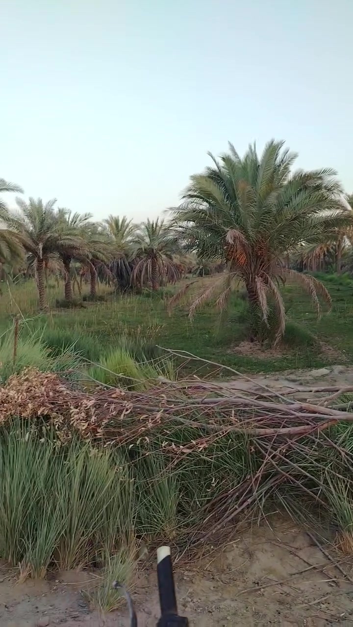 يالله
4 دونم للبيع كربلاء الحسينيه الوند

واجه 60 متر سند 25

تبعد عن شارع بغداد 2 كليوو

دخول عليه من يم عامود 385 مجاور محطه الازدهار
***********
