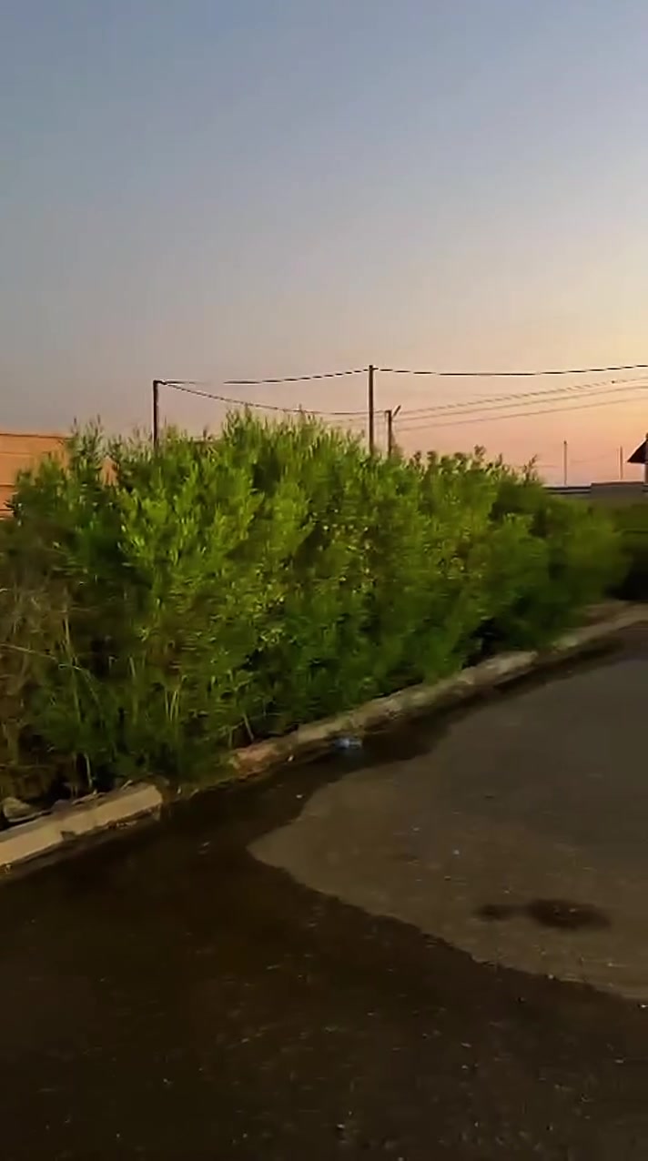 سلام عليكم دار للبيع في مجمع دريم ستي بل B مساحه200م طابق واحد البيت نضيف حيل
السعر :85
التواصل:***********
