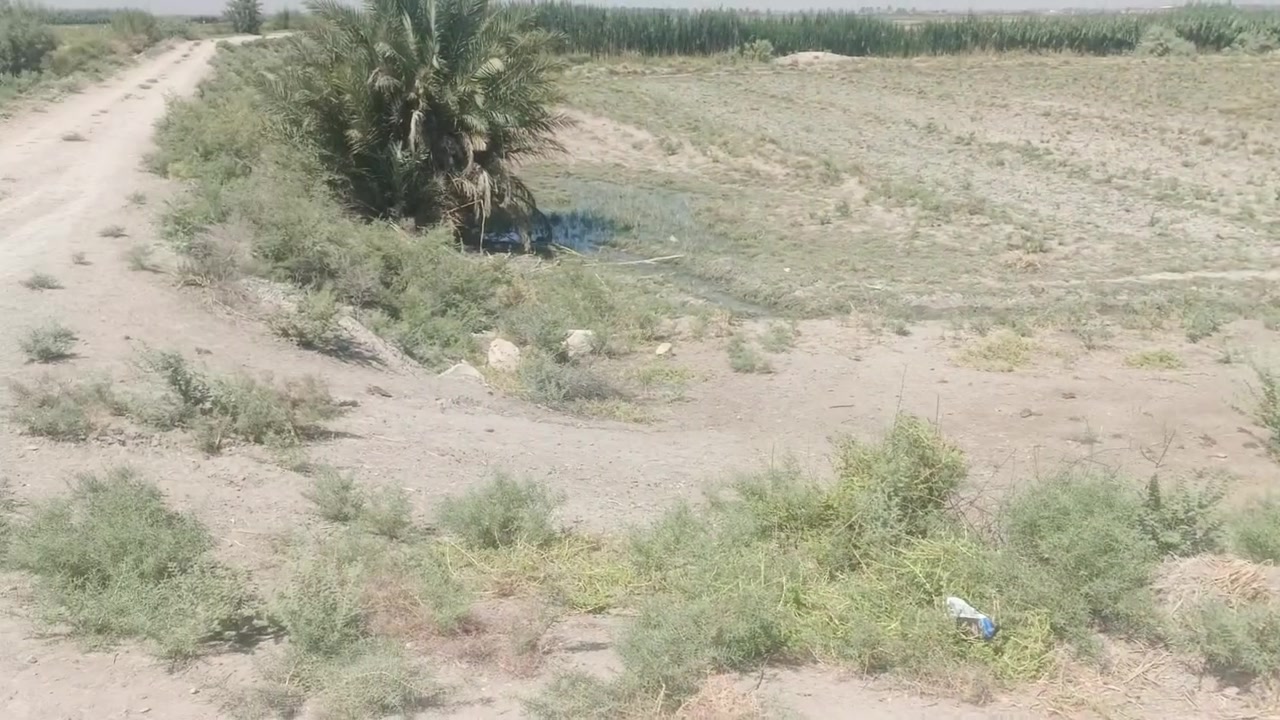 البيع 8 دونم طابو سند 25 بسند مستغل سبع البور منطقت المصالحه وطجاج بصف شقق سعر دونم 25 عل طابو ابو غريب 
***********
