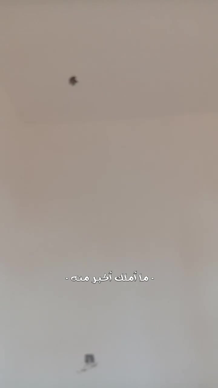 چص • لبخ • نثر