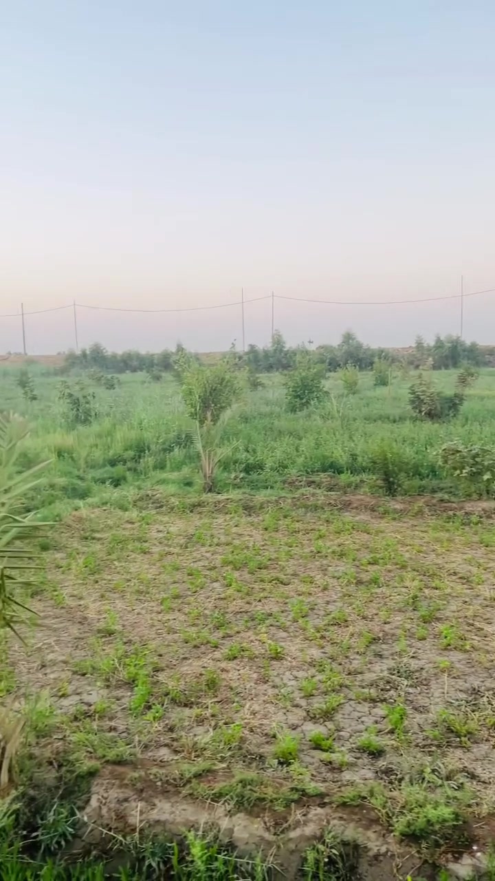 ارض زراعيه 2دونم للبيع على الشط مباشره واجه 47 ونزال 107 ماي كهرباء متوفره مكانها نزله الشريف جهه الطاقه  
اليحب يستفسر يتصل 
***********
