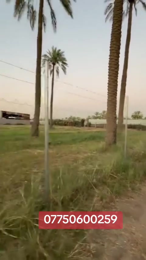 السلام عليكم 
دونمين طابو صرف للبيع العنوان المدائن منطقة التويثه قرب شارع سيد علي 
وجه الدونم الواحد ٤٥ متر 
للأستفسار الاتصال 
***********

