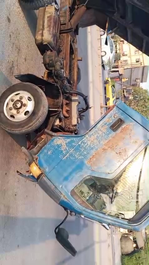 كنتر • فحل • للبيع