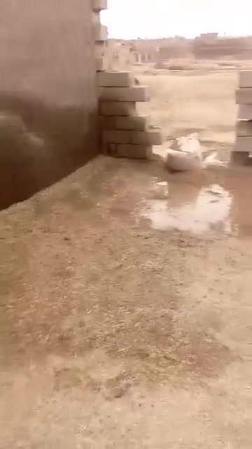 يا الله السلام عليكم معاكم ابو عباس لتسليط وتصليح كافه البيوت ***********
