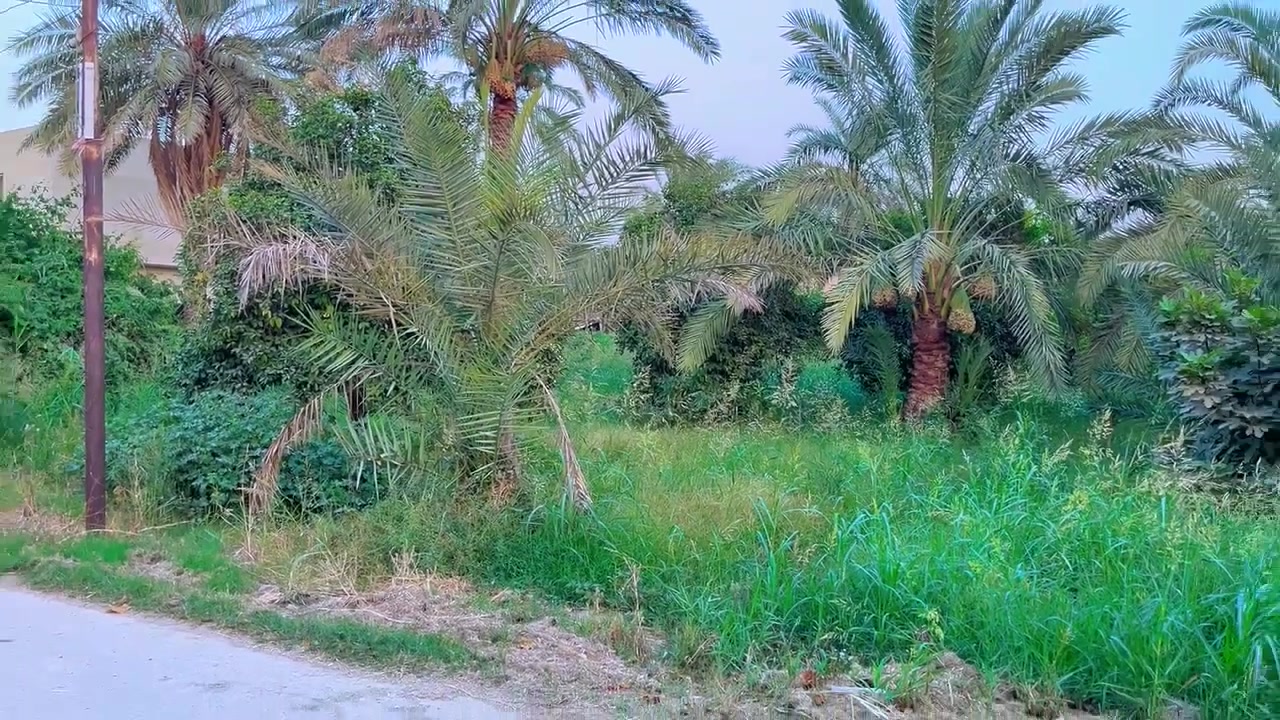 دونم • طابو • المدائن التويثه