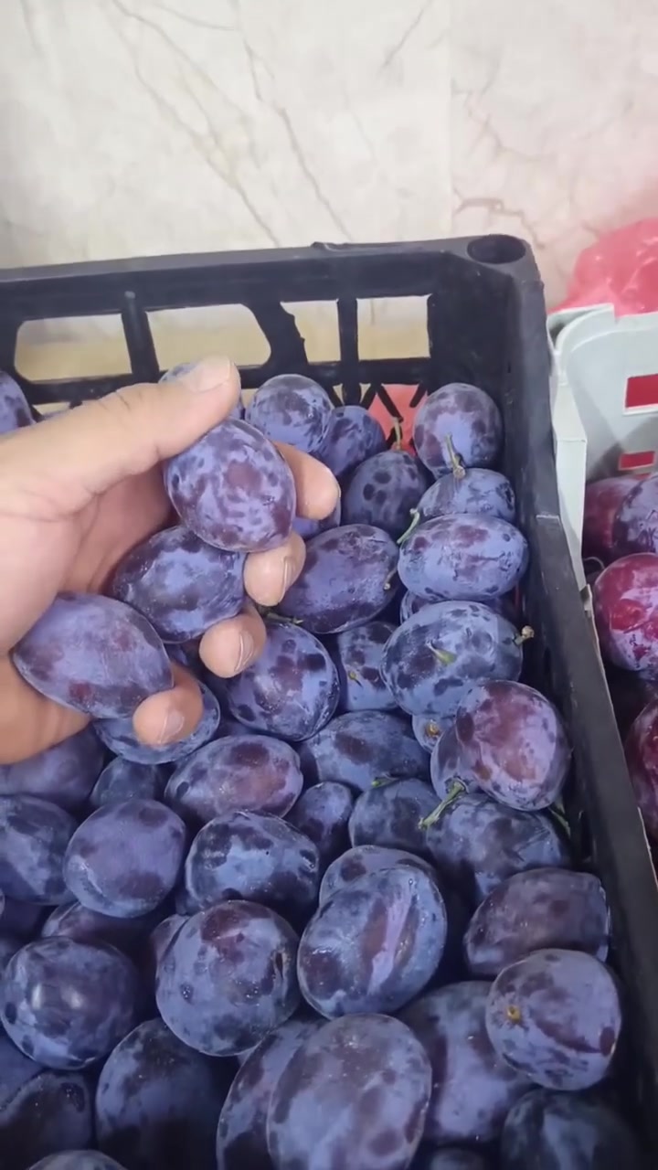 مسواك العافية • خضار وفواكه طازجة • توصيل سريع