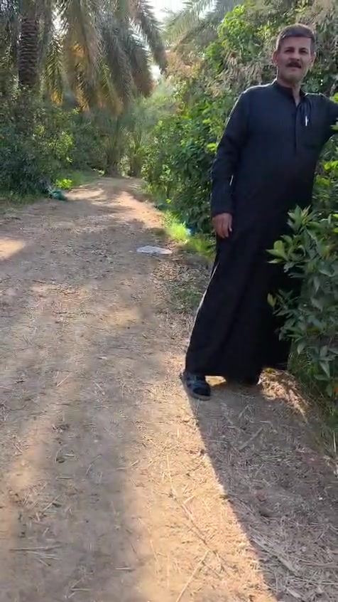 10 دونم بستان نخل وحمضيات حمال خير من الله مواصفات فول يحتوي على فله و32 كامره مراقبه مسيجه بكامل الصويره للاستفسار على رقم ***********
