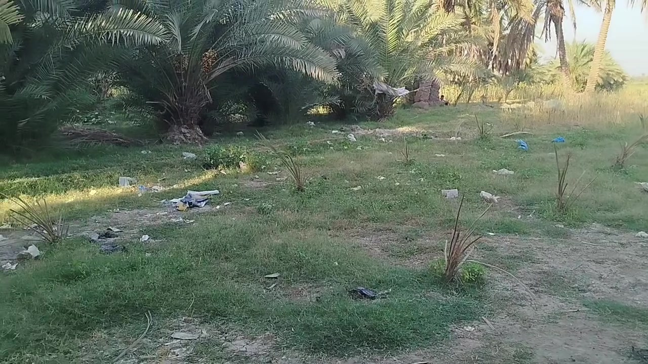 سلام عليكم ارض زراعيه للبيع في منطقه القزوينيه تبعد عن الكوفه 10 كيلو سبع دوانين تحتوي على ثلاث بيوت جاهزات للسكن موقعها على شط الفرات صنف العرض طابو زراعي سنه 25 الدونم 50 وبي مجال للشراي تحتوي على على 150 نخل بانواعه اتصال على الرقم ***********
‏‪***********‬‏
