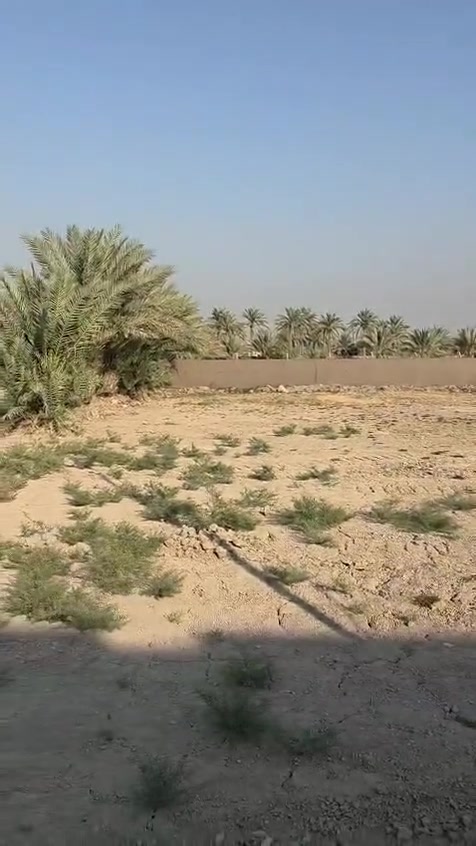 للبيع مزرعه مسيجه طابو زراعي مداور ثاني يوم منطقة البو علوان /محاويل مساحتها ٤ دوانم ألا ٤٠٠م جبهه واسعه منطقه مخدومه مجاوره لدور سكنيه *********** واتساب
