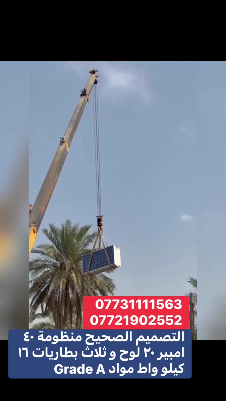 الأضواء الحرة • MTS الأولى • واتس