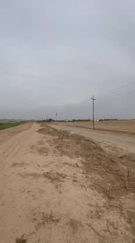 ارض زراعي • سند ٢٥ • بيراوجلي