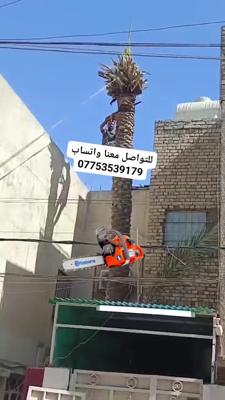 السلام عليكم اخوان أي شخص عنده تكريب نخل وتقليم الاشجار اوقطع نخل يتواصل وياي واني  خادم ولاتفكر بالسعر رقمي موجود بي واتساب *********** @الجميع
