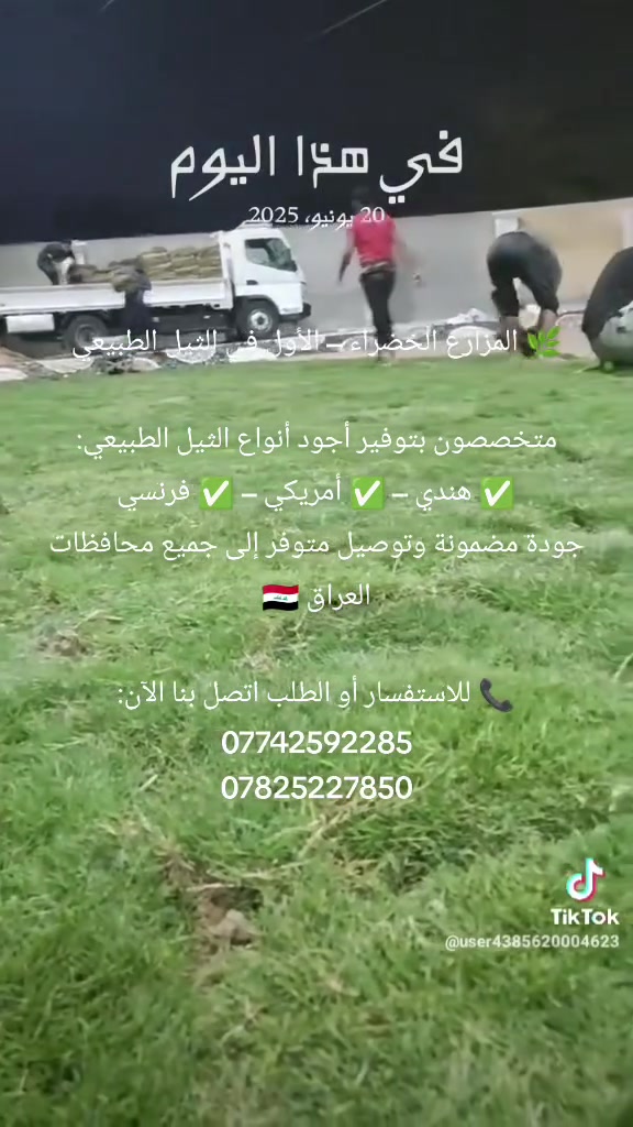 🌿 المزارع الخضراء – الأول في الثيل الطبيعي

متخصصون بتوفير أجود أنواع الثيل الطبيعي:
✅ هندي – ✅ أمريكي – ✅ فرنسي
جودة مضمونة وتوصيل متوفر إلى جميع محافظات العراق 🇮🇶

📞 للاستفسار أو الطلب اتصل بنا الآن:
***********
***********
