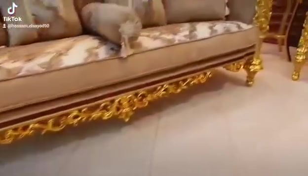 طقم ملكي • خشب زان • دمياط