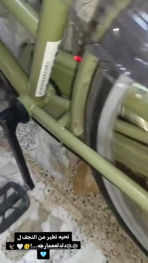 باسكل • مديل 22 • بطيخي