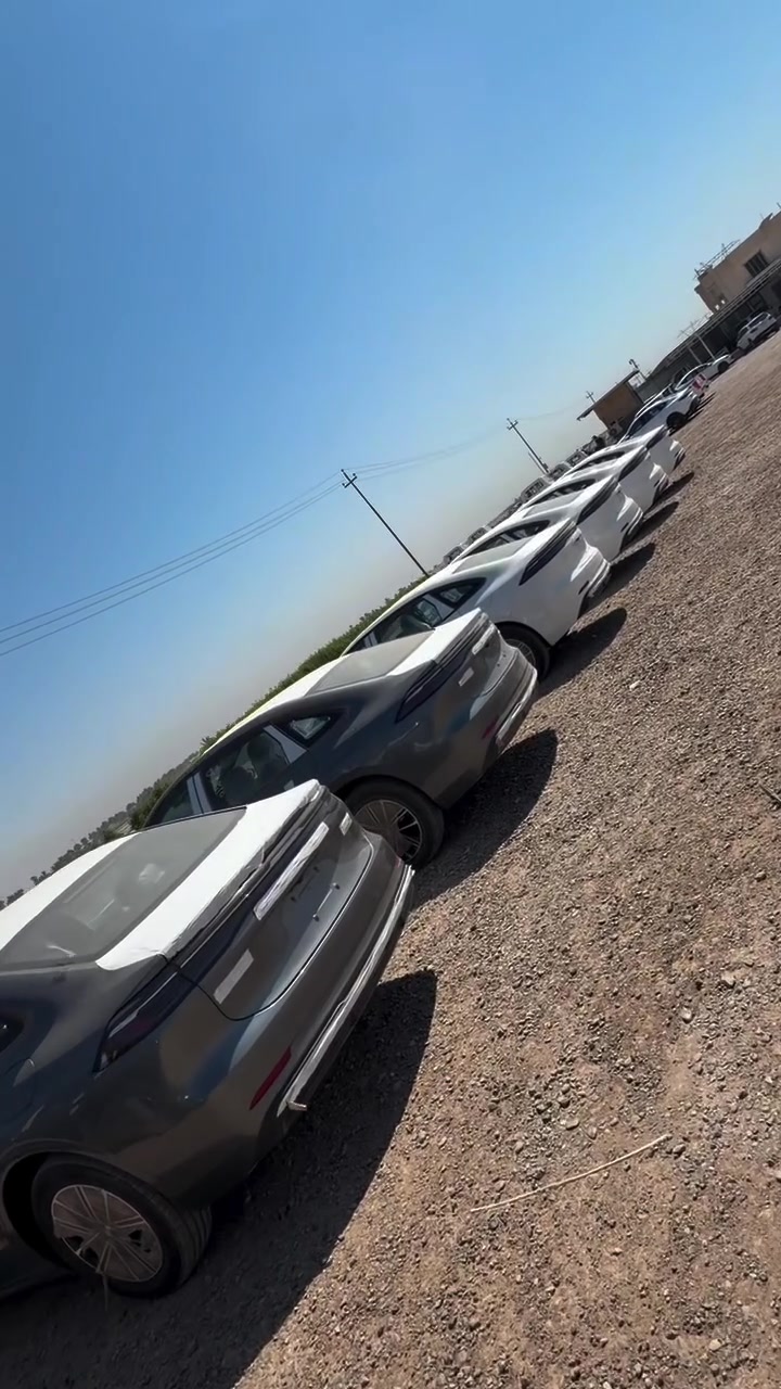 حياكم الله متابعين شركة بغداد المركزي وصل العملاق الجيلي 2025 جميع الايتمات

والاوان موجود داخل جملي وداخل زيتوني يم شركة بغداد المركزي نص موصفات 

بطاريه 75 كيلو 

كير تعليك 

4 رادرات 

تحديد مسار 

موجود يم شركة بغداد المركزي متوفر الاوان (السموك الدخاني-الفيلي - الابيض )

📍الفرع الاول البياع مقابل محطه وقود السيديه 
📍اليوسفيه قرب سيطره 75مدخل بغداد 
‭☎️***********‬☎️

***********
