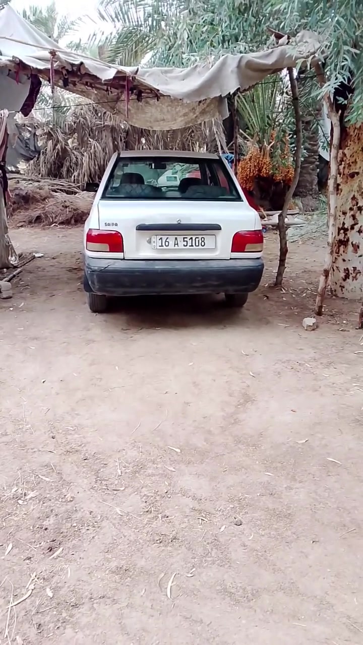 سايبا • النجف • شراي