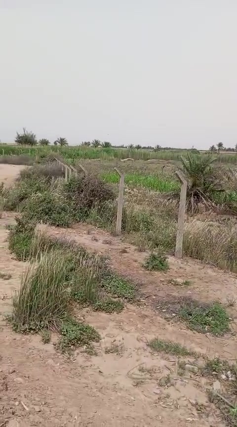 🛡️✨يعلن مكتب العكيلي للعقار عن عرض قطعة أرض مميزة وجاهزة تماماً للاستثمار، بموقع استراتيجي ومواصفات متكاملة وعالية الأمان والتجهيز.📌 تفاصيل العقار:المساحة الإجمالية: 30 دونم (البيع جملة واحدة فقط).الحماية والأمان: مسيجة بالكامل سياج (BRC) (جاهزة ومحمية بالكامل).نوع السند. عقد 117.الموقع: بغداد، عبور الجسر الفرنسي، أول ما تعبر سيد سعد (باتجاه تل صخيري وأم العبيد).💎 المميزات والخدمات المتوفرة:الواجهة: مباشرة على السدة وعلى الشارع العام مباشرة (موقع تجاري وزراعي مميز).المصادر المائية: تحتوي الأرض على نهر خاص، والماء متوفر دائماً وبغزارة في النهر.الخدمات الأساسية: شبكة كهرباء متكاملة + شبكة ماء متوفرة وجاهزة.💰 السعر: 20 مليون دينار عراقي فقط للدونم الواحد (البيع لكامل المساحة بيعة واحدة).📞 للتواصل والاستفسار حصراً عبر مكتب العكيلي للعقار:الاتصال المباشر: *********** | ***********المراسلة عبر الواتساب: اضغط هنا للمراسلة الفورية أو على الرقم: ***********
