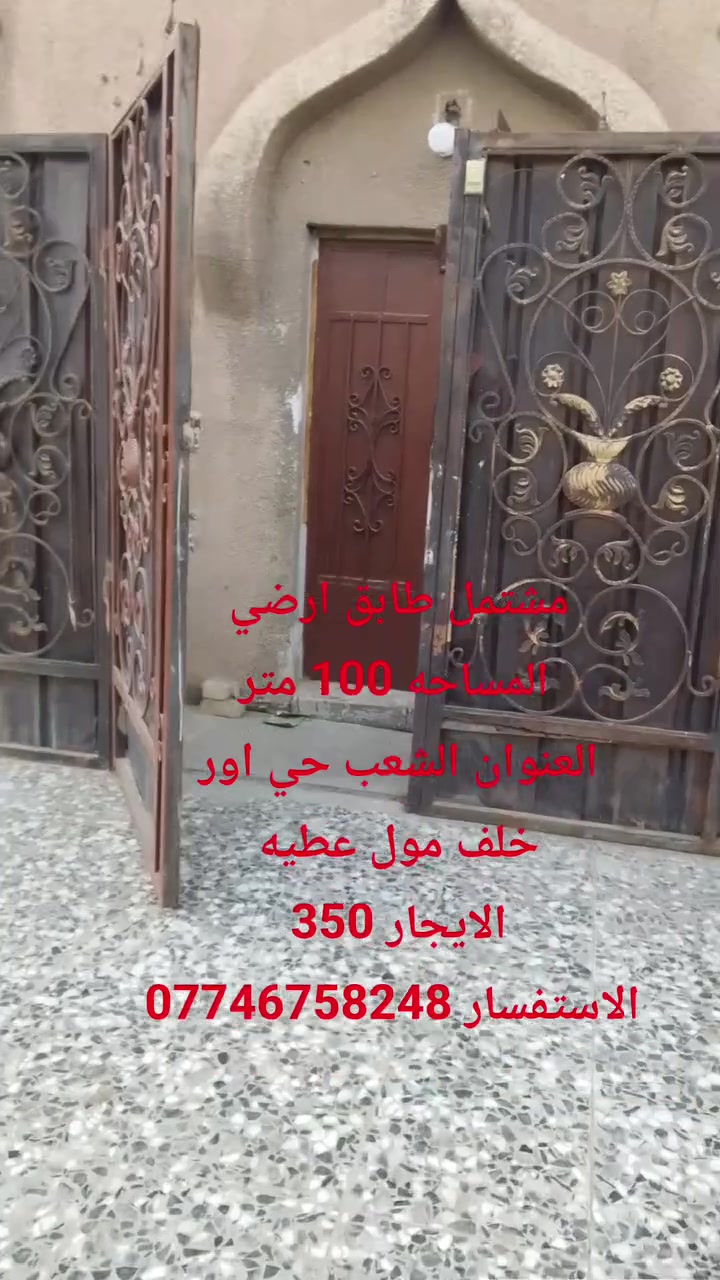 ايجار • ١٠٠م • الشعب حي اور
