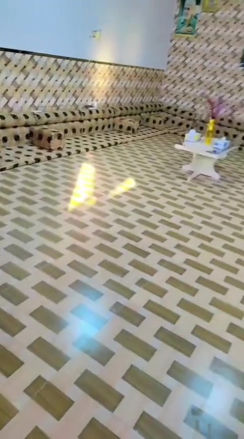 ديوان • نظيف • ١٠ دوشگ