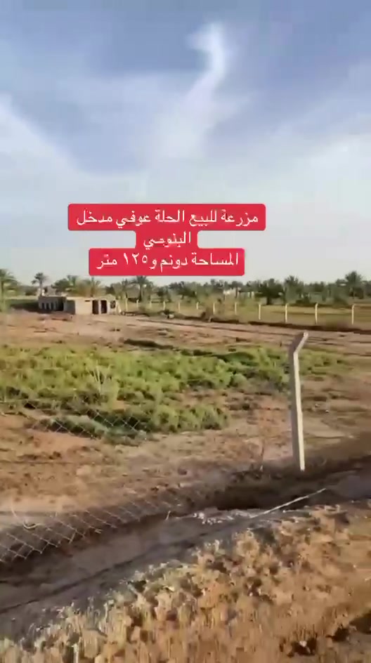 الحلة عوقي • طابو زراعي • ٢١٢٥م