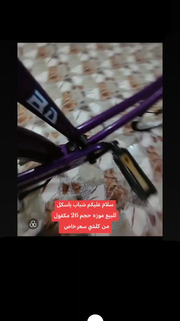 باسكل • مقاس ٢٦ • موديل ٢١