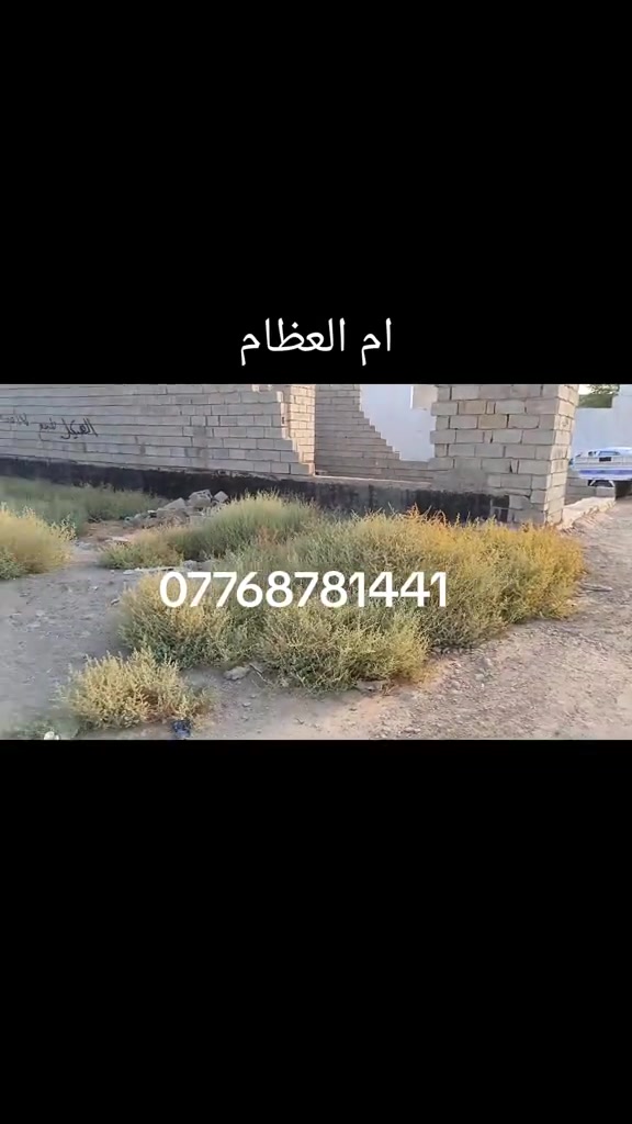 سعر 33 قطعه ارض للبيع المساحه 200 متر طابو زراعي سند 25 بعقوبة ام العظام  ***********#العقار #عقارات_بهرز #عقارت_ديالى #عقارات_بغداد #عقارات_السعودية 
